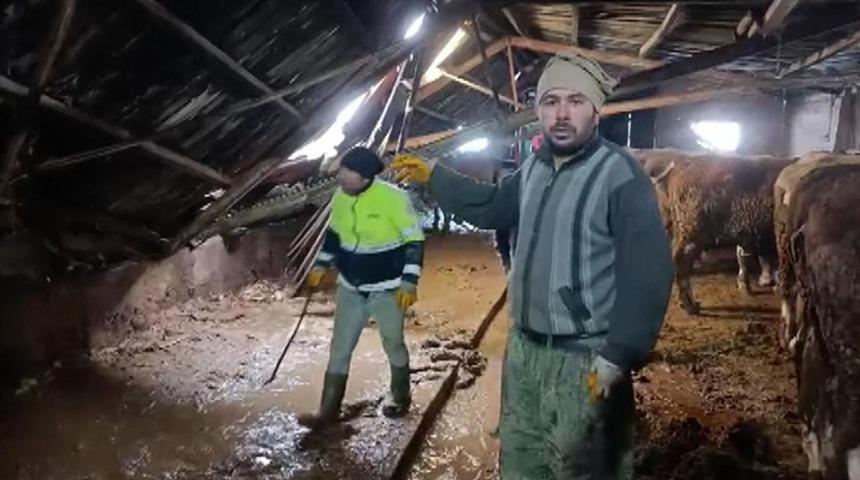 Ahırın &ccedil;atısı yağan karın ağırlığını taşıyamadı, hayvanlar komşuların yardımıyla kurtarıldı