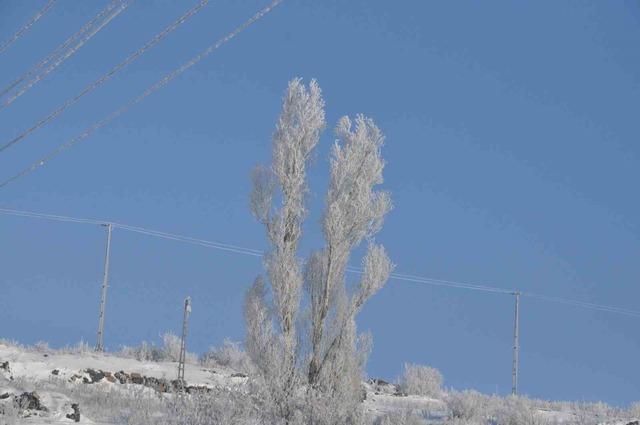 Kars&rsquo;ta beyaz &ouml;rt&uuml; 8