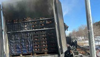 Adana-Pozantı Otoyolu&rsquo;nda narenciye y&uuml;kl&uuml; tır alevlere teslim oldu