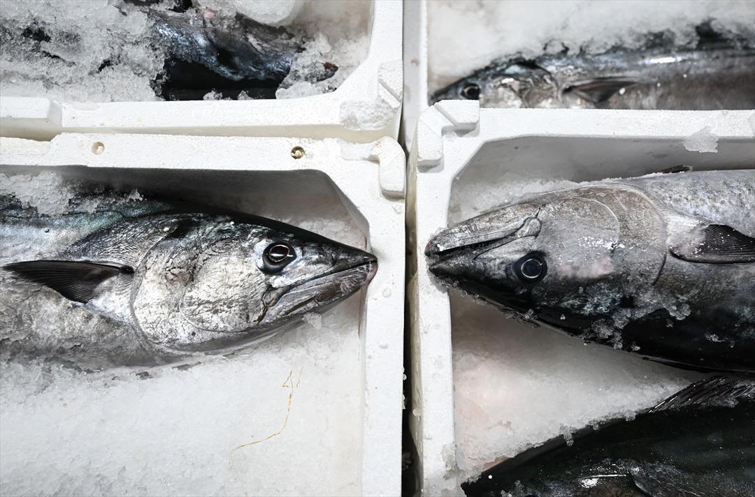  Muazzam bir akın oldu  Uzun yıllardır b&ouml;ylesi g&ouml;r&uuml;lmemişti 5