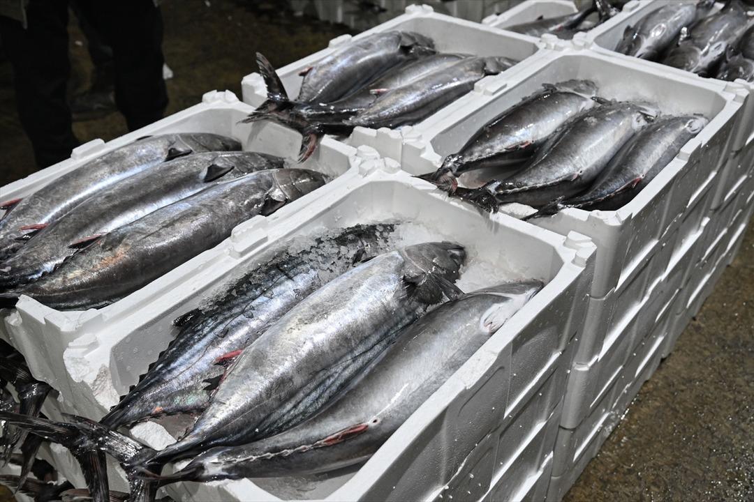  Muazzam bir akın oldu  Uzun yıllardır b&ouml;ylesi g&ouml;r&uuml;lmemişti 7