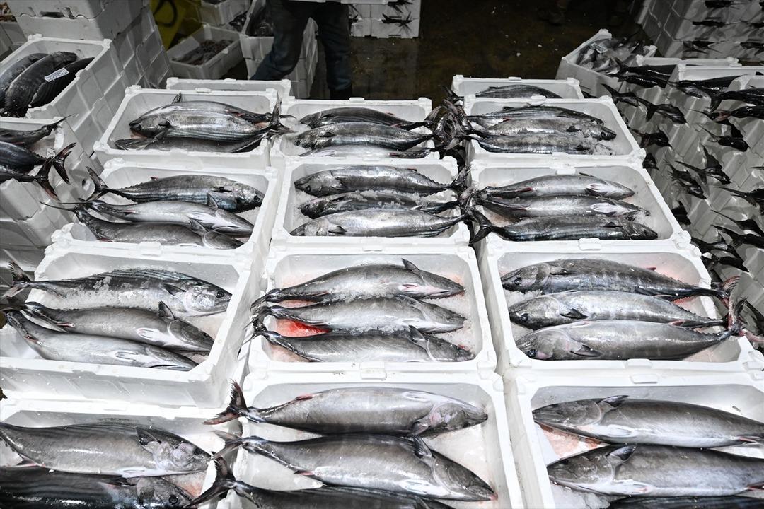  Muazzam bir akın oldu  Uzun yıllardır b&ouml;ylesi g&ouml;r&uuml;lmemişti 9