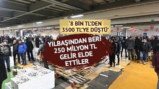 'Muazzam bir akın oldu' Uzun yıllardır böylesi görülmedi