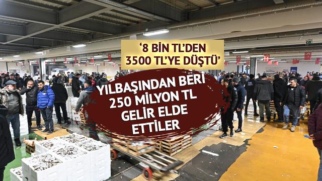 'Muazzam bir akın oldu' Uzun yıllardır böylesi görülmemişti