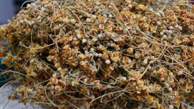 Ihlamurun kilosu 350 lirayı buldu