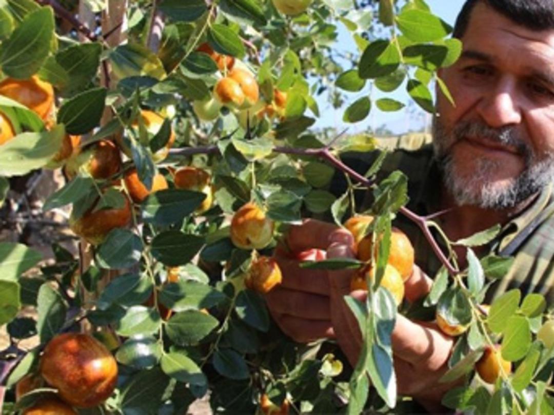 R&uuml;yasında g&ouml;r&uuml;p ekti