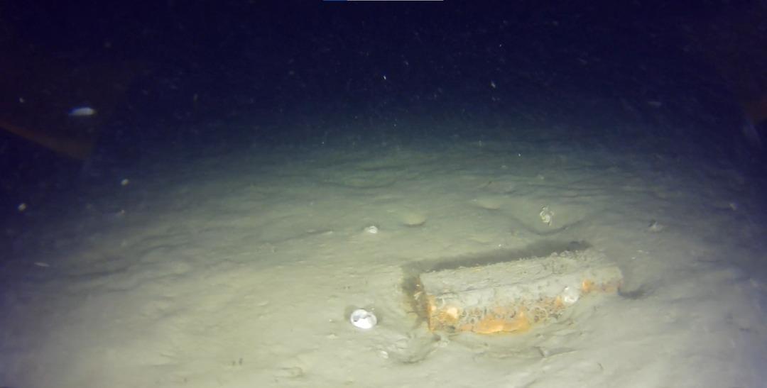 &Uuml;nl&uuml; isimlerin yakınları da o u&ccedil;aktaydı! Marmara Denizi nde yarım asırlık keşfİ 2