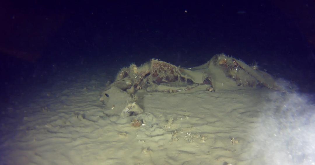 &Uuml;nl&uuml; isimlerin yakınları da o u&ccedil;aktaydı! Marmara Denizi nde yarım asırlık keşfİ 1