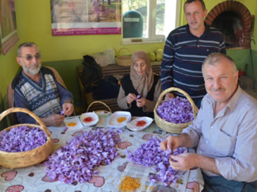 250 &ccedil;i&ccedil;ekten sadece 1 gram &ccedil;ıkıyor