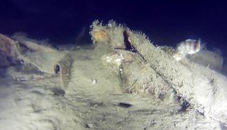 50 yıl &ouml;nce d&uuml;şm&uuml;şt&uuml;! Marmara Denizi'nde u&ccedil;ak enkazı aradılar