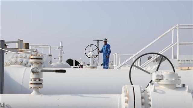 Spot piyasada doğal gaz fiyatları (25 Ocak 2026)