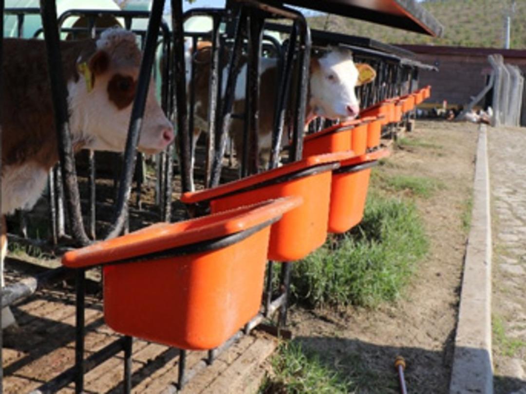 Emekli olunca &ccedil;iftlik kurdu