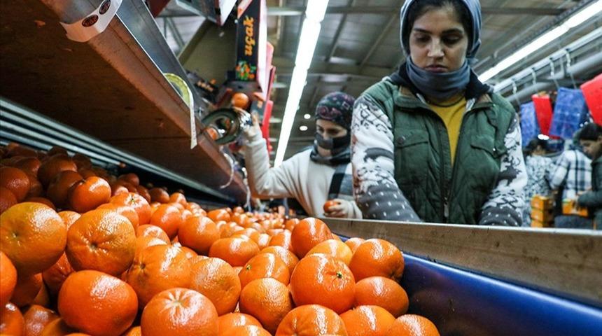 Narenciye ihracatı 1 milyar 477 milyon 58 bin dolar kazandırdı 'Hepsi de rağbet g&ouml;r&uuml;yor'