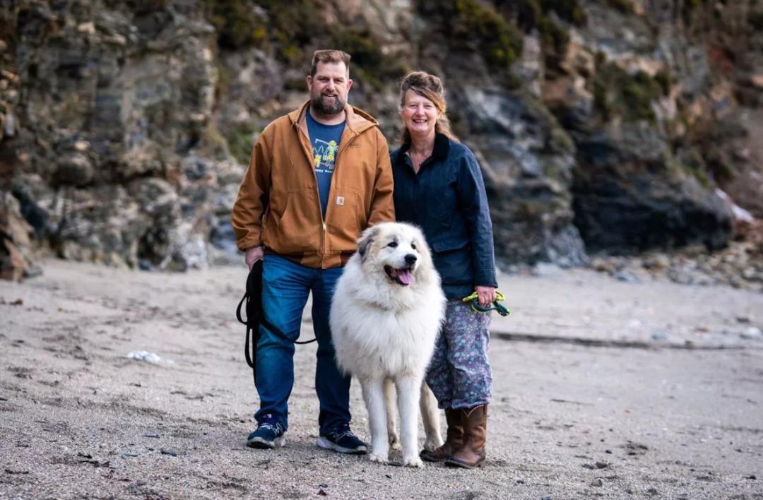 Kutup ayısı b&uuml;y&uuml;kl&uuml;ğ&uuml;nde: 66 kiloluk dev k&ouml;pek sahiplendirildi 2