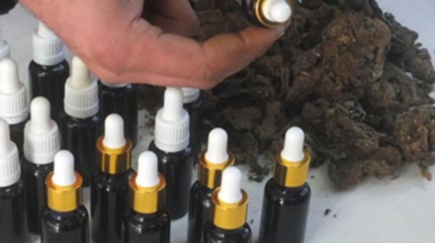 Propolis bin bir derde deva