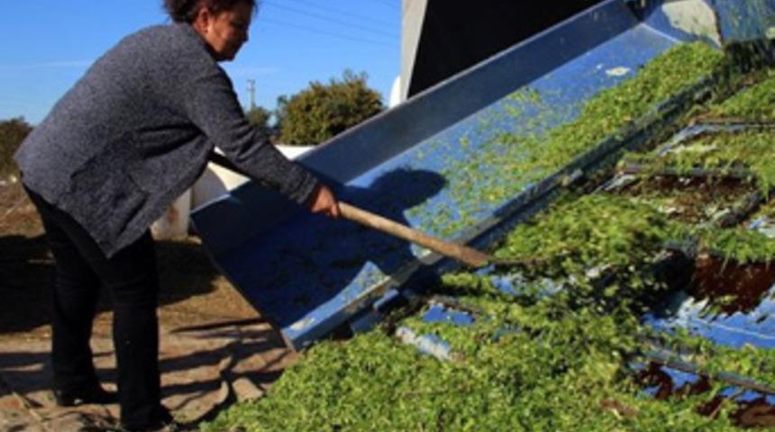 Kadın girişimci talebe yetişemiyor