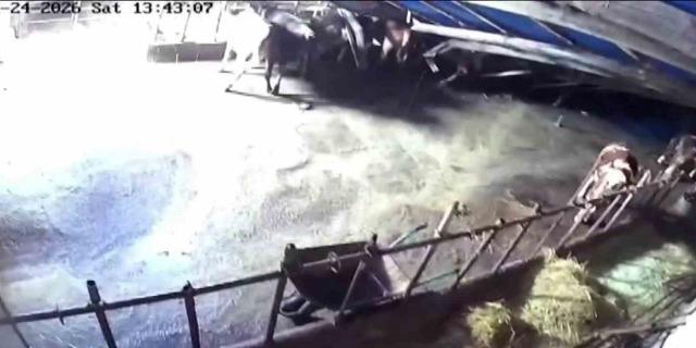 Sivas&rsquo;ta ahır &ccedil;&ouml;kt&uuml;, o anlar g&uuml;venlik kamerasına yansıdı 2