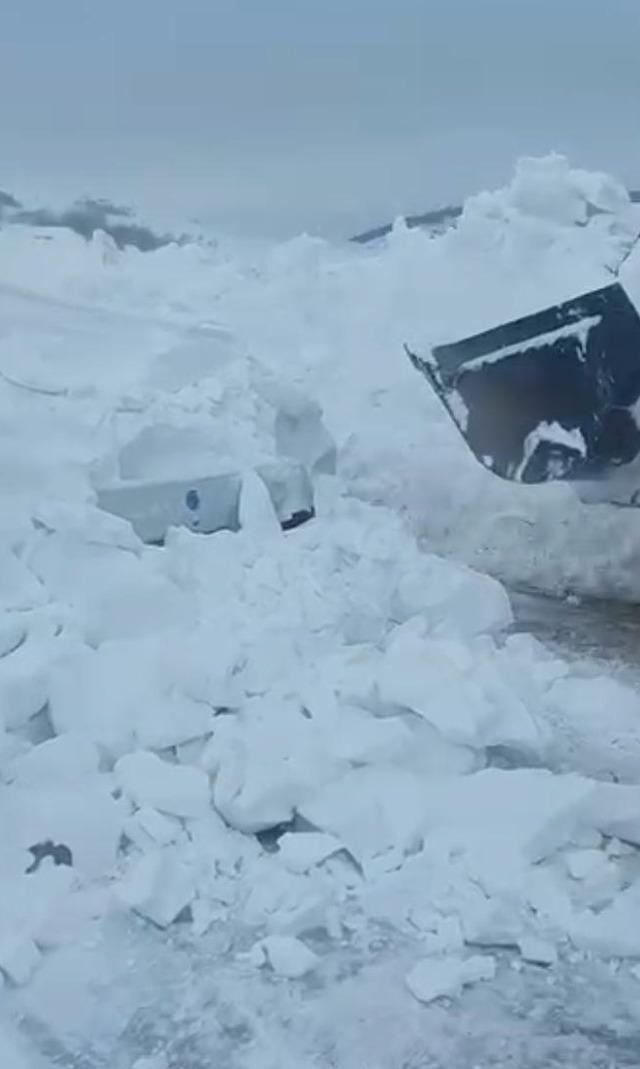 Hayvanlar a&ccedil; kalmasın diye &ccedil;ıktığı yolda &ouml;l&uuml;mden d&ouml;nd&uuml; 2