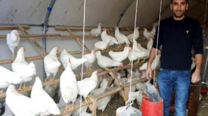 İstanbul'dan memleketine döndü, yumurta üreticisi oldu