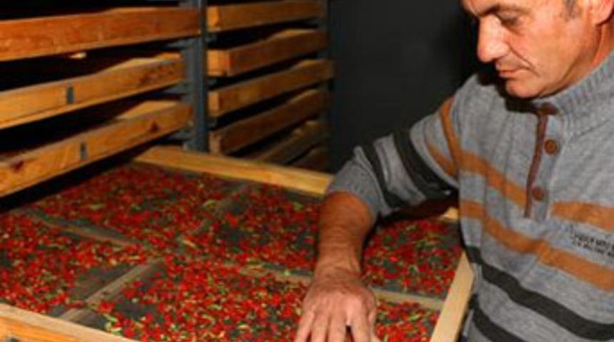 Hobi olarak başladılar, iki kardeş şimdi talebe yetişemiyor