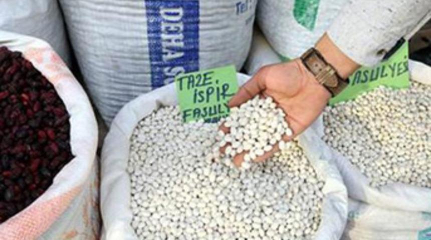 İspir fasulyesi 12 bin kişinin geçimini sağlıyor