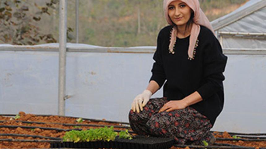 Giresun'da kadın çiftçiler aldıkları hibelerle üretim yapıyor