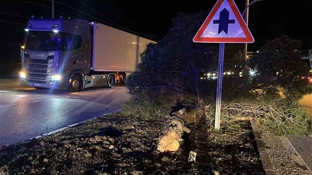 Alkoll&uuml; s&uuml;r&uuml;c&uuml; ortalığı savaş alanına &ccedil;evirdi: 2 yaralı 2