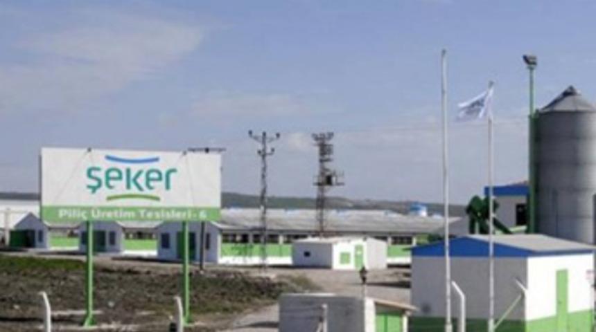 Şeker Piliç'in fabrikasına yine talip çıkmadı