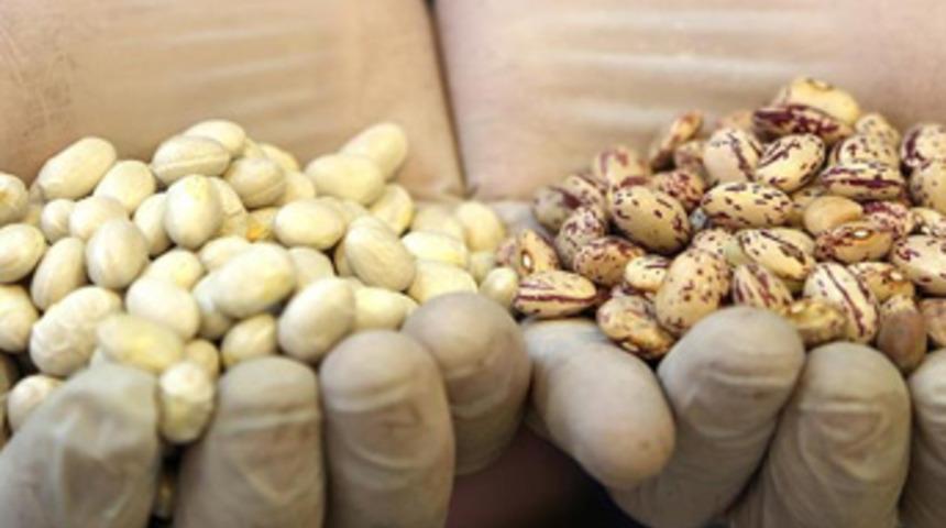 Kuru fasulye, nohut ve barbunya ithalatında gümrük vergisi sıfırlandı