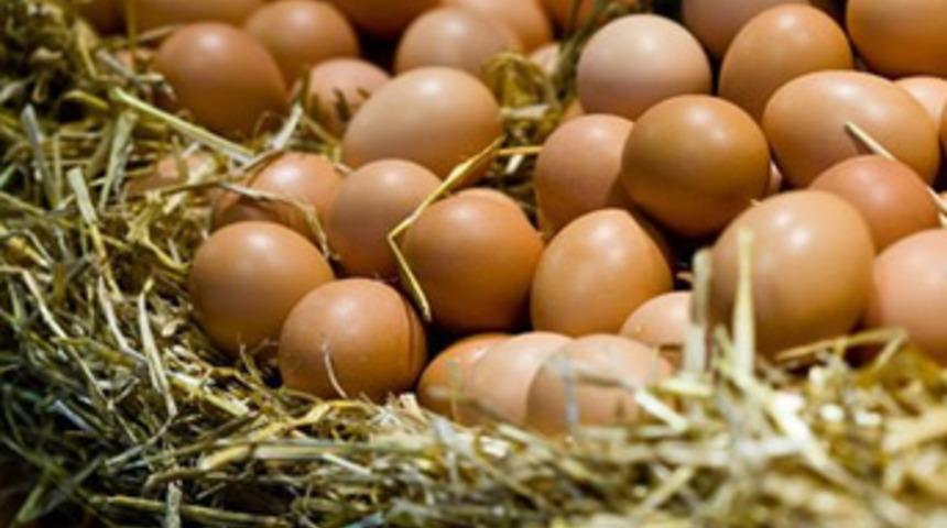 'Yumurtada yılın en yüksek fiyatı' üreticiyi sevindirdi