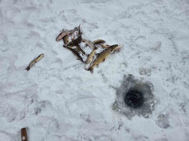 T&uuml;rkiye&rsquo;nin en uzun nehri dondu, &uuml;zerinde eskimo us&uuml;l&uuml; balık avladılar 1