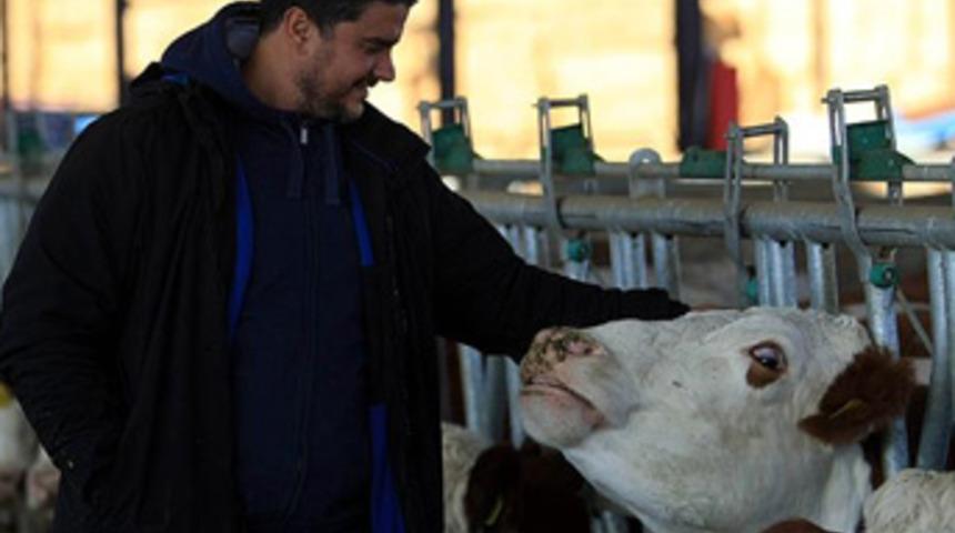 'Beyaz yakasını' çıkartıp süt üretimine başladı