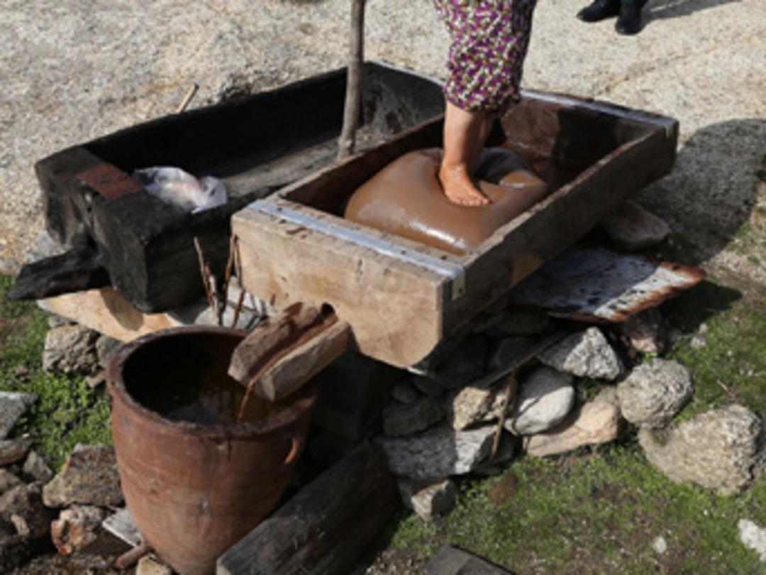İşte teknolojiye direnen "ayak yağı"