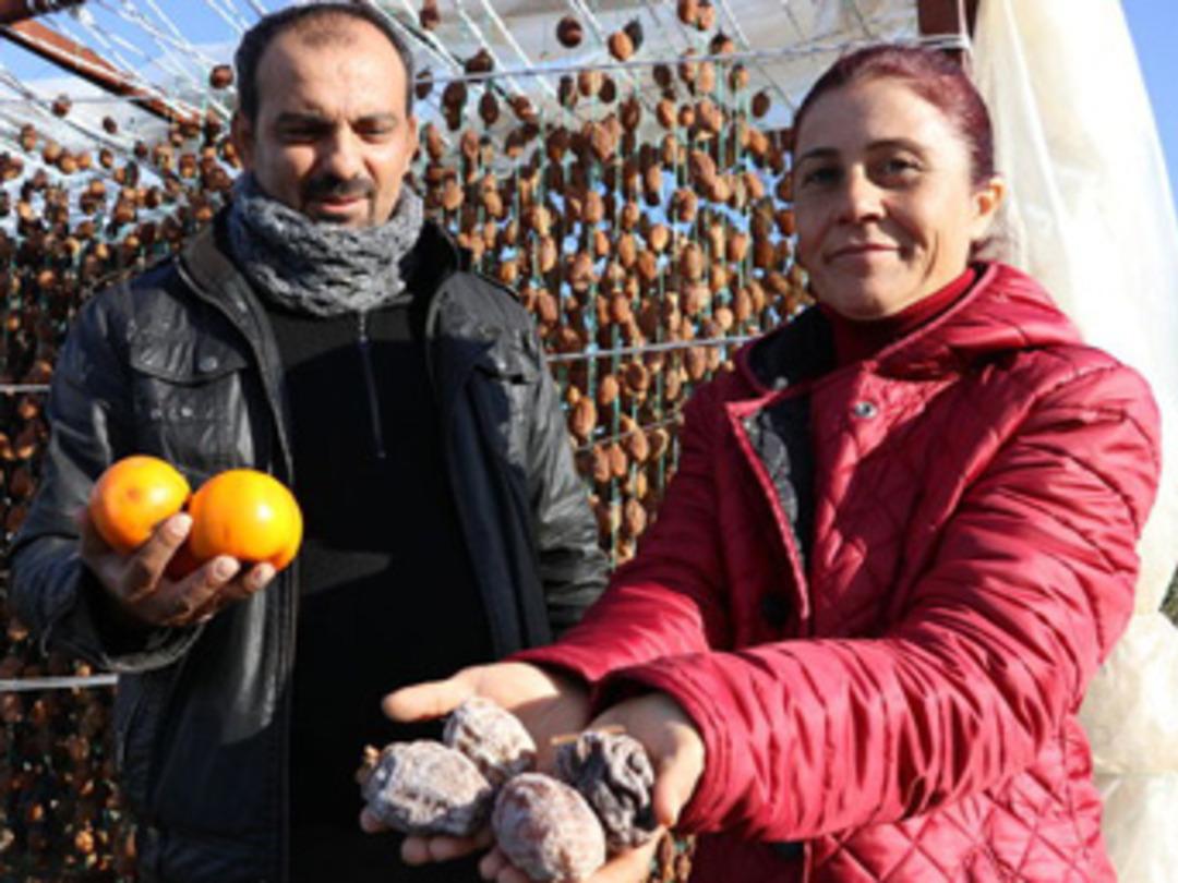 Satamadığı cennet elmasını kuruttu, ihracatta '&ouml;nc&uuml;' oldu