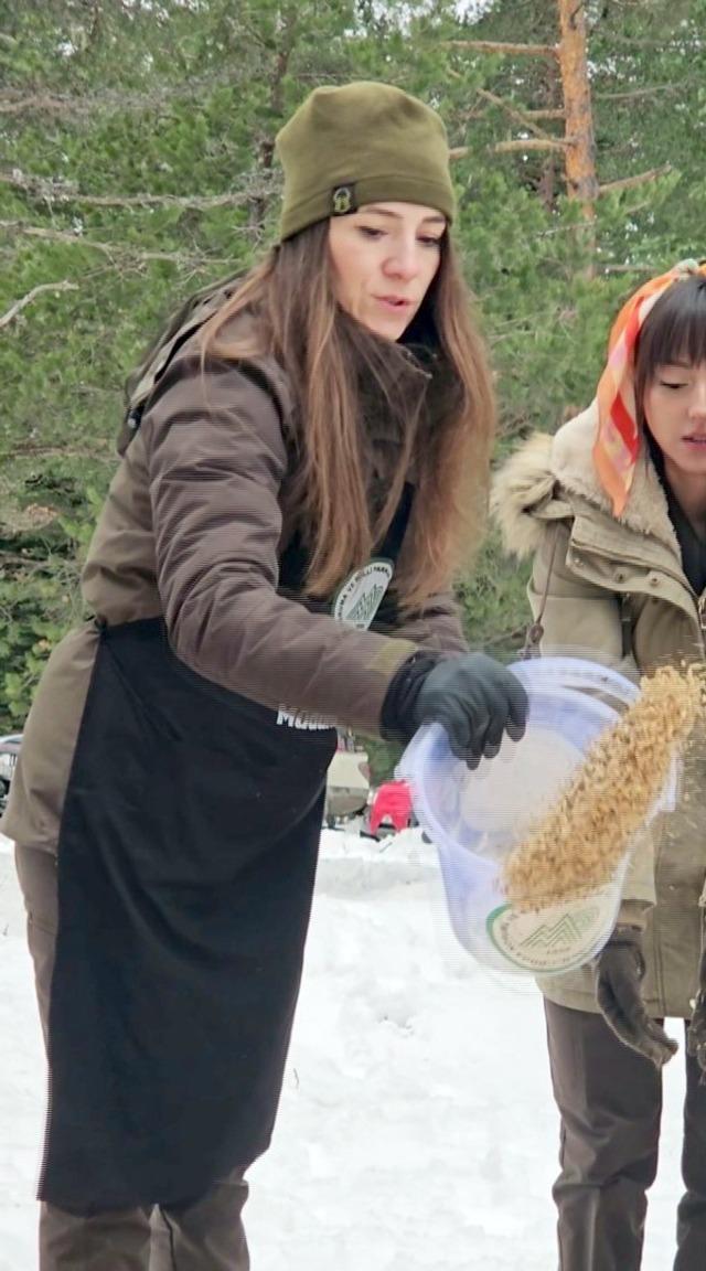 Kastamonu&rsquo;da karla kaplanan ormanlara yaban hayvanları i&ccedil;in yiyecek bırakıldı 5