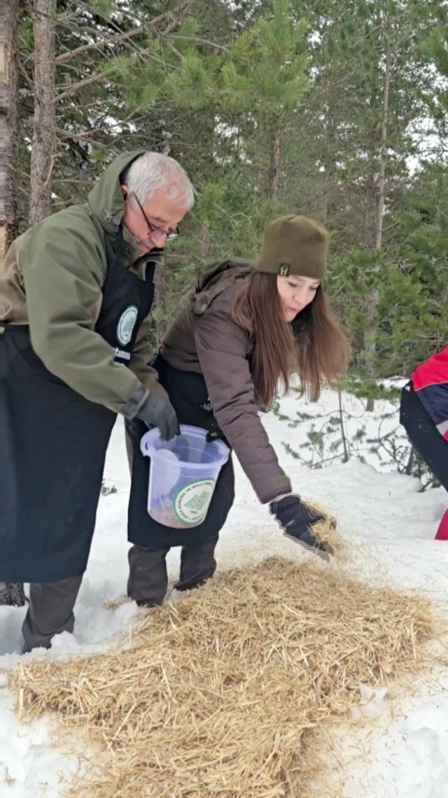 Kastamonu&rsquo;da karla kaplanan ormanlara yaban hayvanları i&ccedil;in yiyecek bırakıldı 4