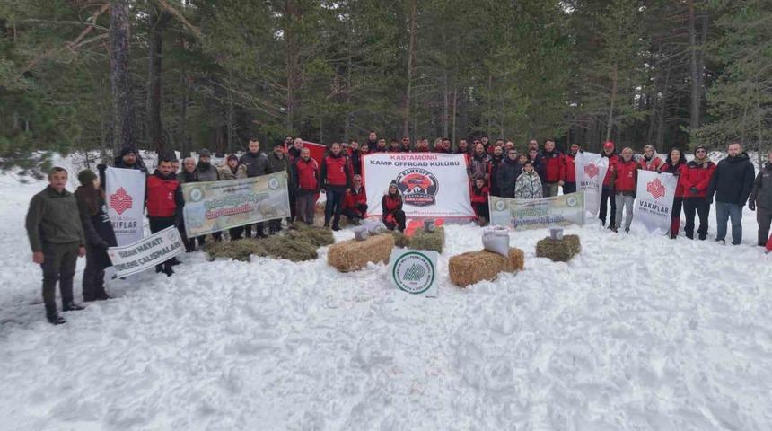 Kastamonu&rsquo;da karla kaplanan ormanlara yaban hayvanları i&ccedil;in yiyecek bırakıldı
