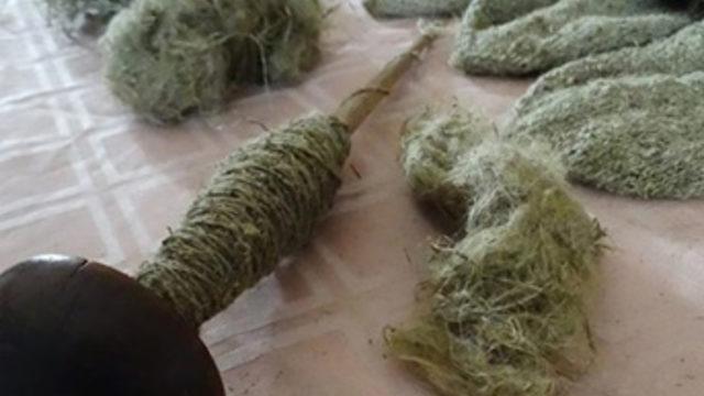 Fiyatı 250 liraya kadar çıkıyor