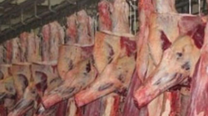 Karkas et yerine kesimlik hayvan ithal edilecek