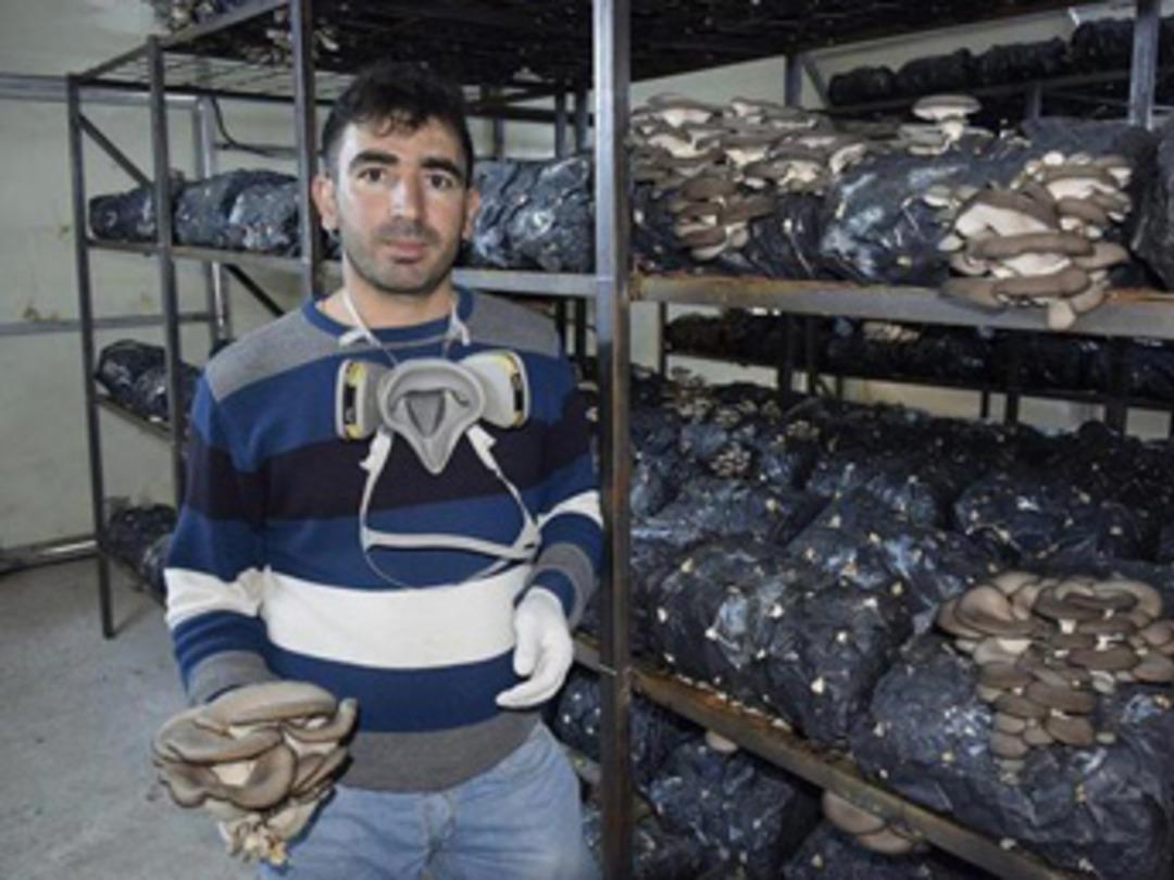 &Uuml;retime banyoda başladı, şimdi devasa bir serası var