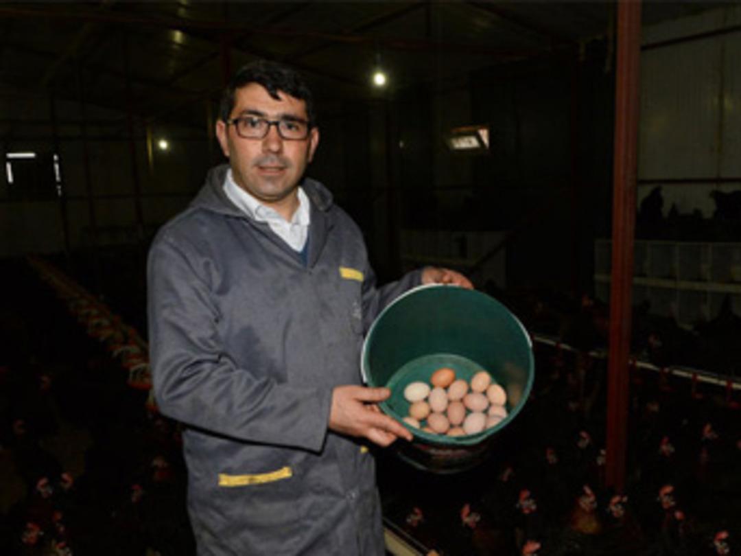 &Uuml;&ccedil; tavukla başladı &uuml;&ccedil; bin tavukluk &ccedil;iftlik kurdu