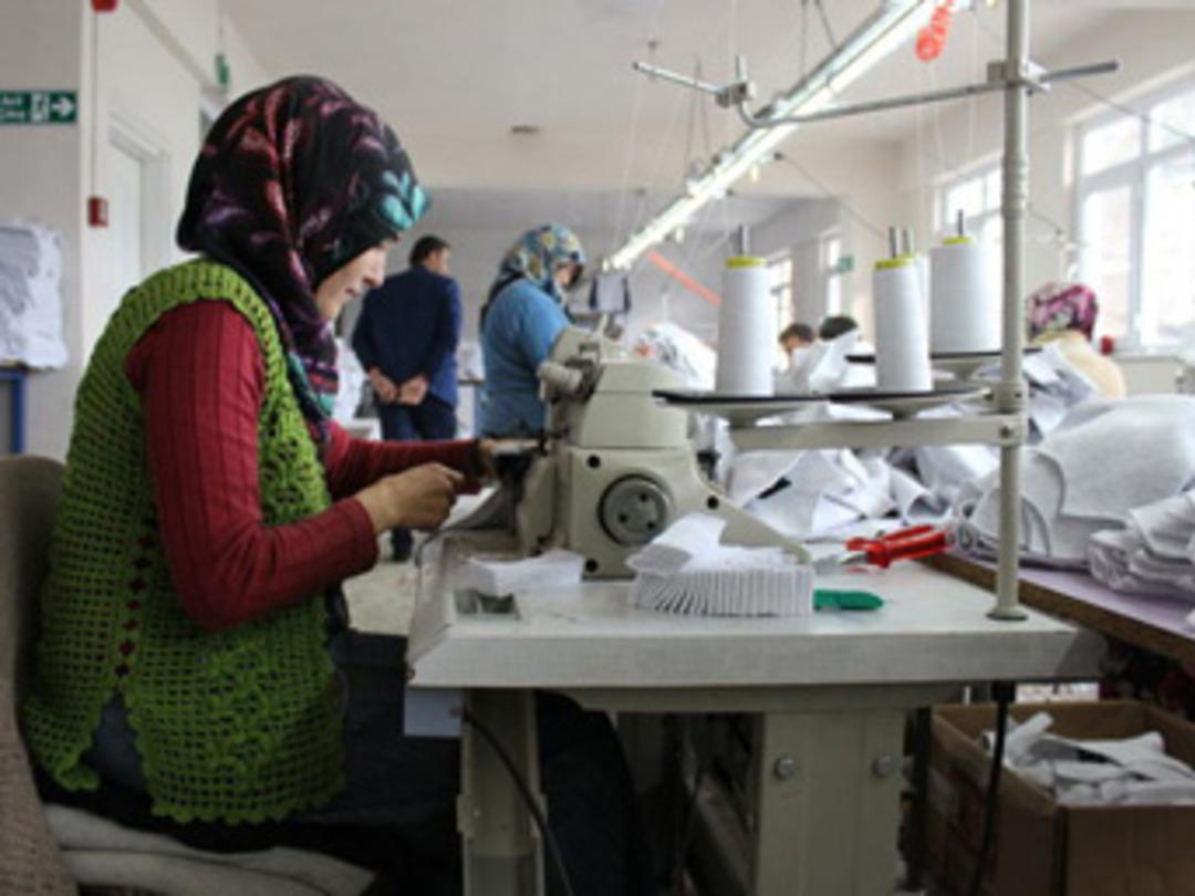 Bir at&ouml;lye kurdu, t&uuml;m k&ouml;y ihya oldu