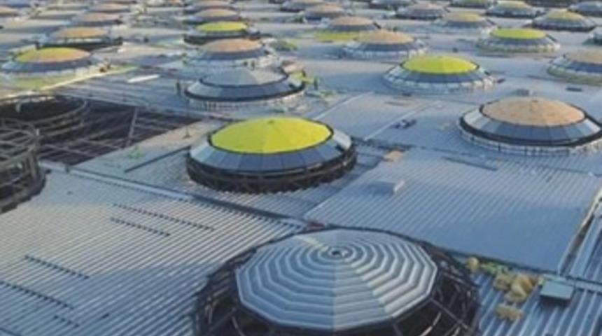 11 rekor ile dünyanın en büyüğü olacak