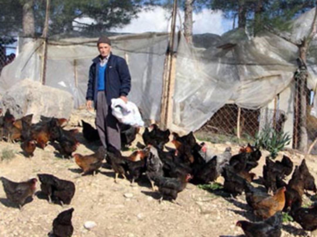 Son maaşı ile bu işe girdi, şimdi talebe yetişemiyor