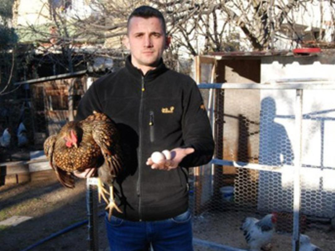 Bu tavuğun yumurtası 40, kendisi iki bin lira!