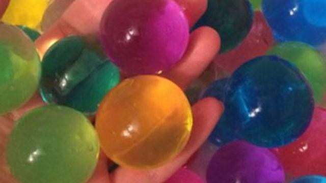 Su maymunu oyuncağına yasak geliyor