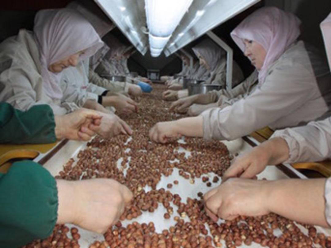 Satışa bakkalda başladı, 50 &uuml;lkeye ulaştı