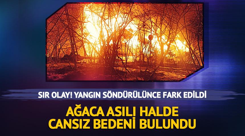 Yangın s&ouml;nd&uuml;r&uuml;l&uuml;nce fark edildi, ağaca asılı cesedi bulundu