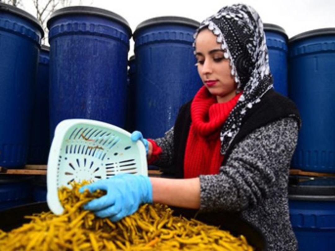 G&ouml;&ccedil;&uuml; turşu ile durdurdular!