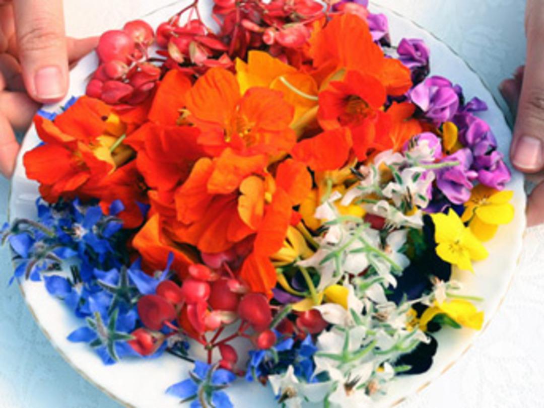 Yenilebilir &ccedil;i&ccedil;ek &uuml;retti, en l&uuml;ks mekanlar peşine d&uuml;şt&uuml;